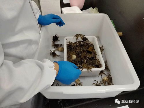 你负责水产养殖，我们负责病害检测 菲优特降低各类水产养殖风险